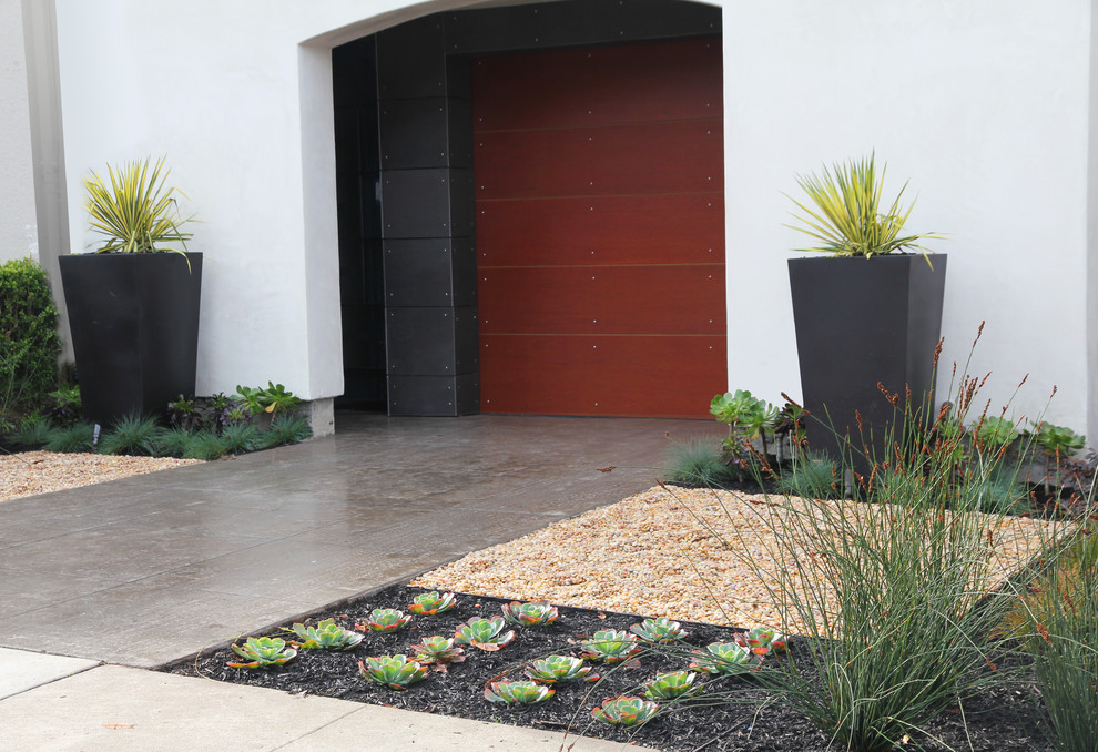 This is an example of a modern xeriscape garden in San Francisco.