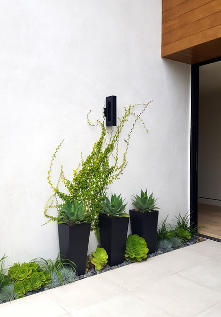 Fresh Ideas To Decorate Your Outdoor Walls With Greenery - What To Do With Large Blank Exterior Wall