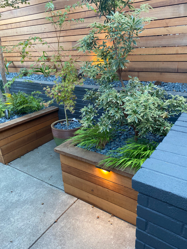Idee per un piccolo giardino xeriscape moderno esposto a mezz'ombra davanti casa in autunno con sassi di fiume e recinzione in legno