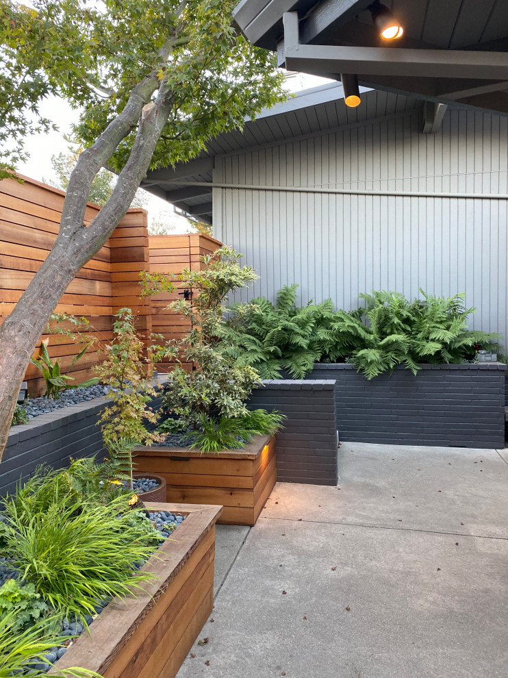 Photo of a small modern drought-tolerant and partial sun front yard river rock and wood fence landscaping in San Francisco for fall.