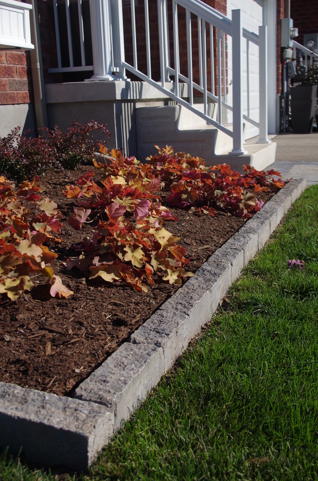 This is an example of a small modern full sun front yard mulch formal garden in Toronto for spring.
