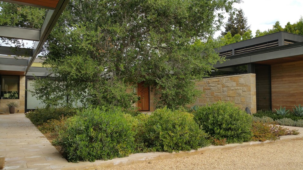 Diseño de jardín de secano minimalista grande en verano en patio trasero con fuente, exposición parcial al sol y adoquines de hormigón