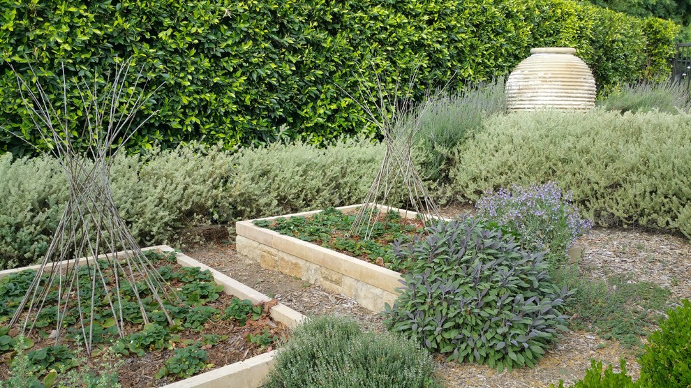Foto di un grande giardino xeriscape moderno esposto a mezz'ombra dietro casa in estate con fontane e pavimentazioni in cemento