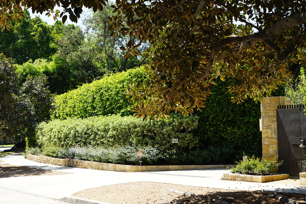 Свежая идея для дизайна: большой летний участок и сад на заднем дворе в стиле модернизм с полуденной тенью и мощением тротуарной плиткой - отличное фото интерьера