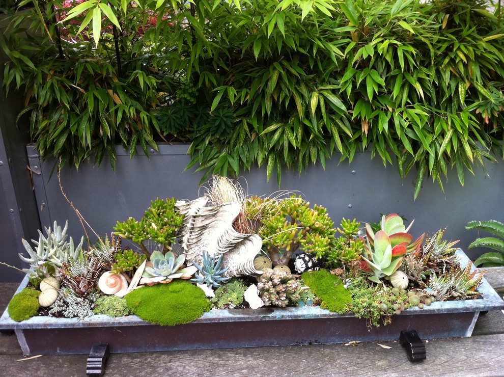 Design ideas for a tropical landscaping in Vancouver.