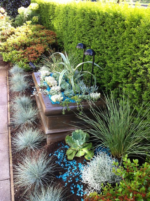 Modern Tropical Garden 2013 - Tropical - Garden - Vancouver - by Glenna