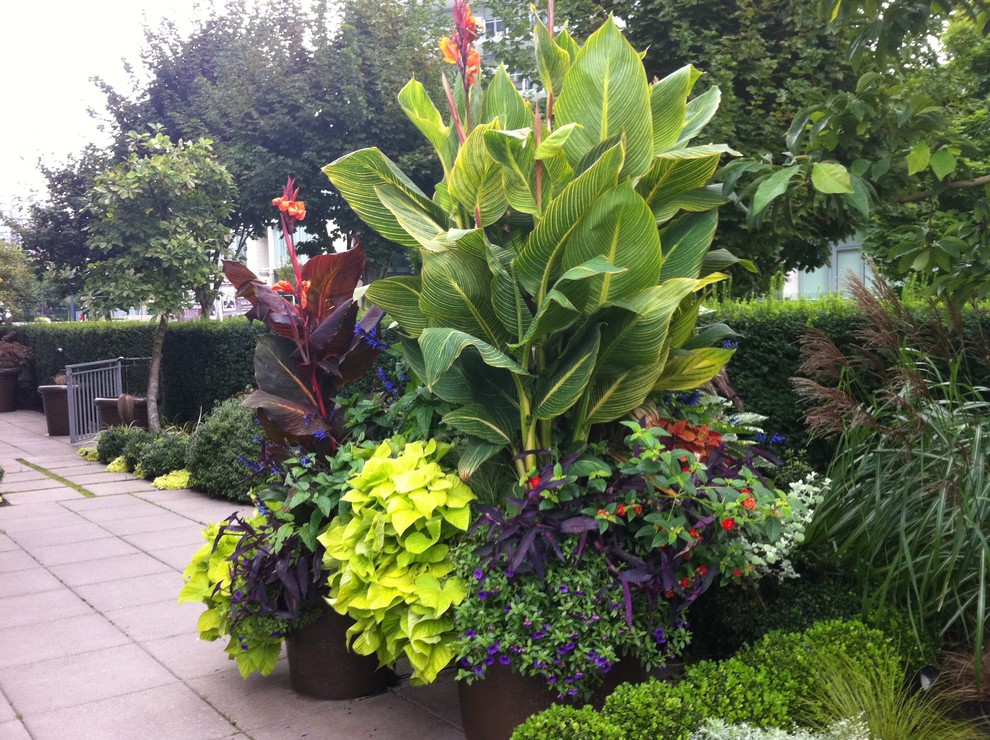 Inspiration for a tropical landscaping in Vancouver.
