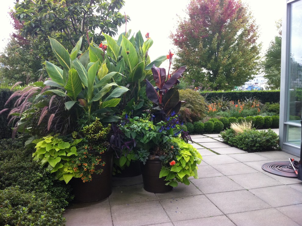 バンクーバーにあるトロピカルスタイルのおしゃれな庭の写真