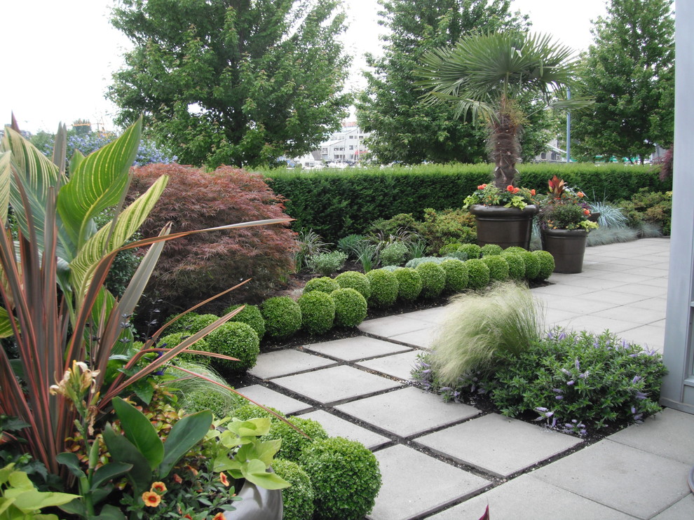 Design ideas for a tropical landscaping in Vancouver.