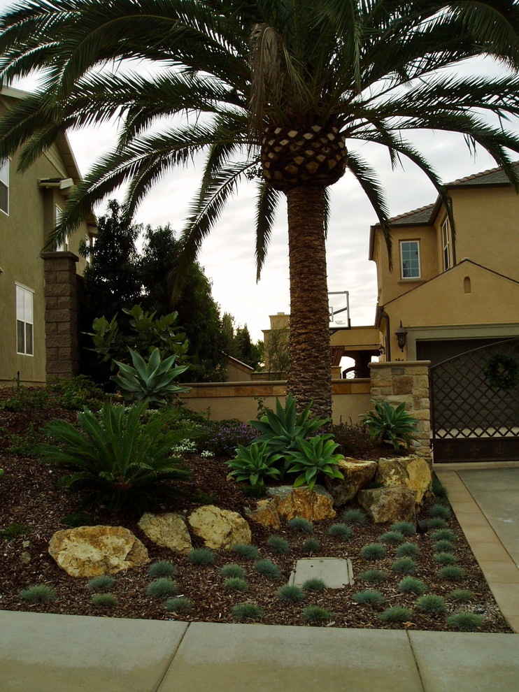 Mediterraner Vorgarten mit Auffahrt, direkter Sonneneinstrahlung und Betonboden in San Diego