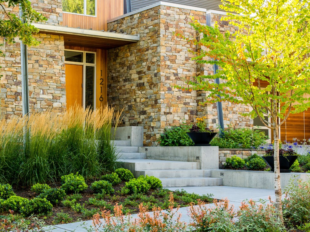 Immagine di un giardino formale moderno esposto in pieno sole di medie dimensioni e davanti casa in autunno con un ingresso o sentiero e pavimentazioni in pietra naturale