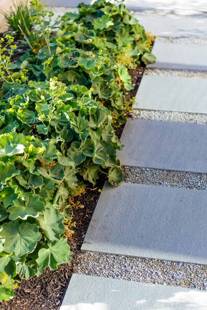 Foto di un giardino formale minimalista esposto in pieno sole di medie dimensioni e davanti casa in autunno con un ingresso o sentiero e pavimentazioni in pietra naturale
