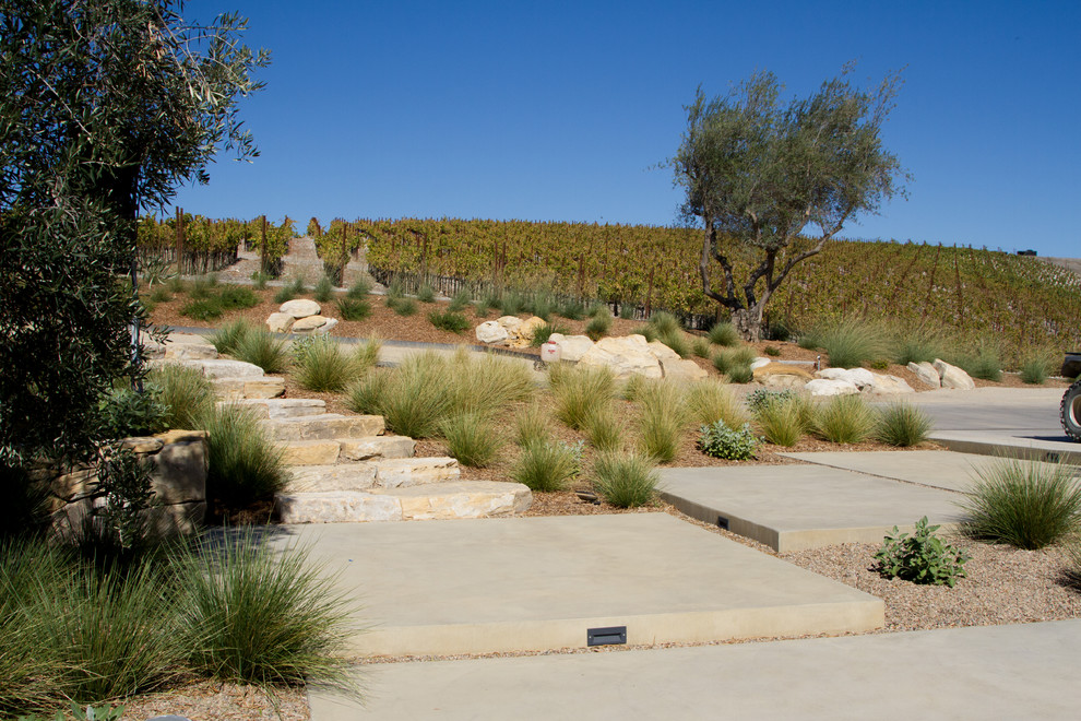 Foto di un grande giardino xeriscape moderno esposto a mezz'ombra dietro casa con un ingresso o sentiero e pavimentazioni in pietra naturale
