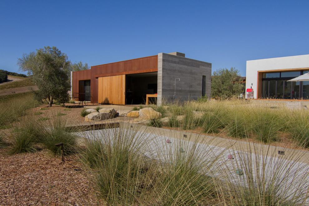 Diseño de camino de jardín de secano moderno grande en patio trasero con exposición parcial al sol y mantillo