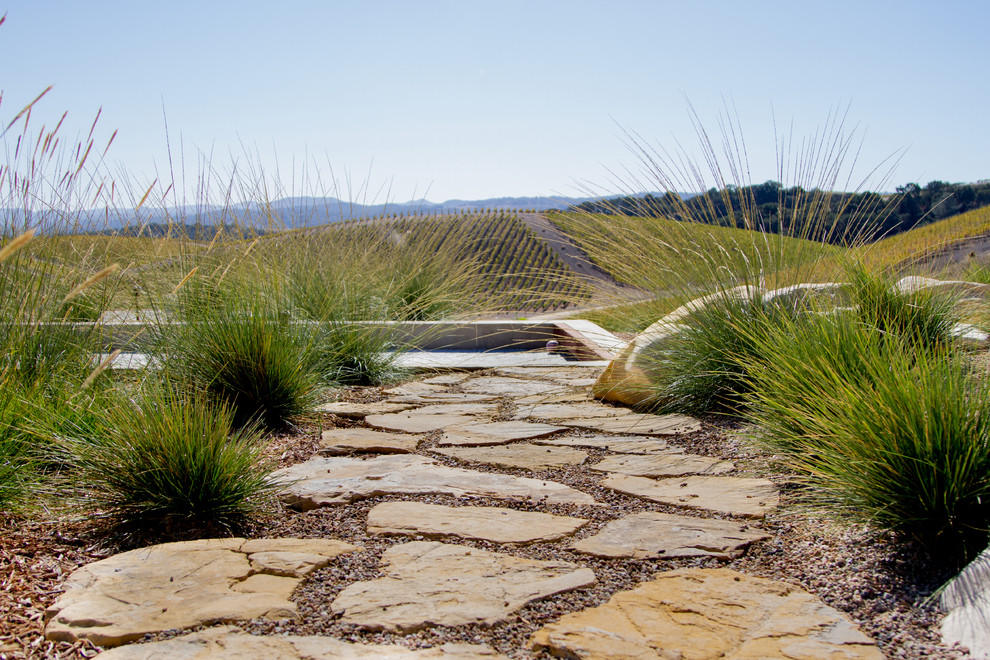 Photo of a large modern drought-tolerant and partial sun backyard concrete paver garden path in San Luis Obispo.