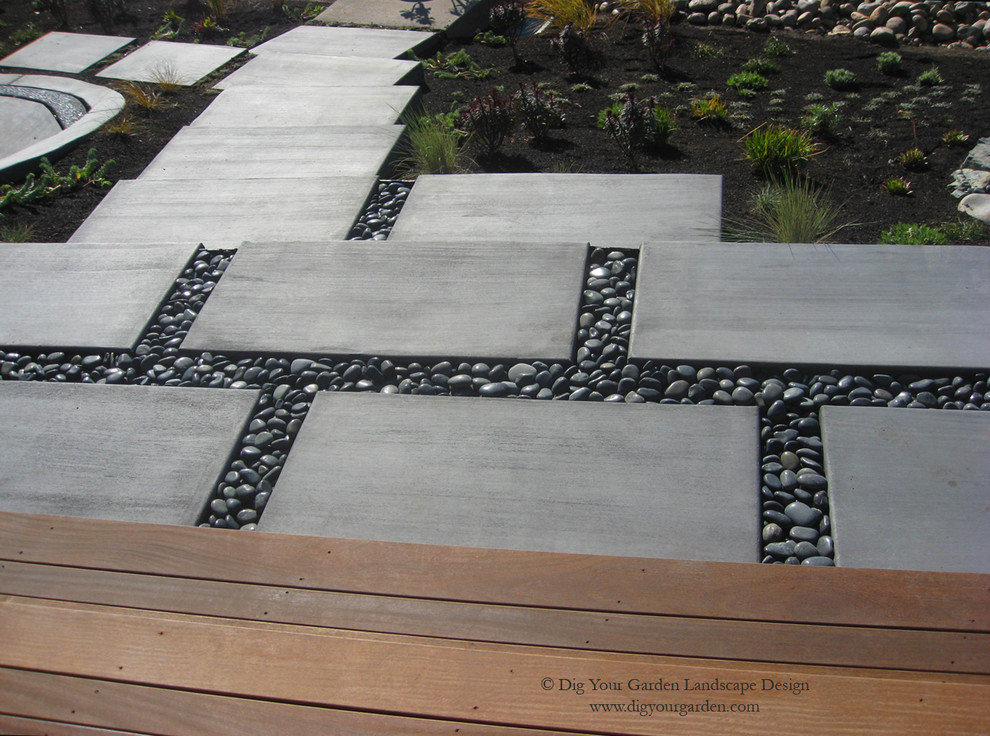 Design ideas for a large contemporary sloped full sun garden for spring in San Francisco with concrete paving and a garden path.