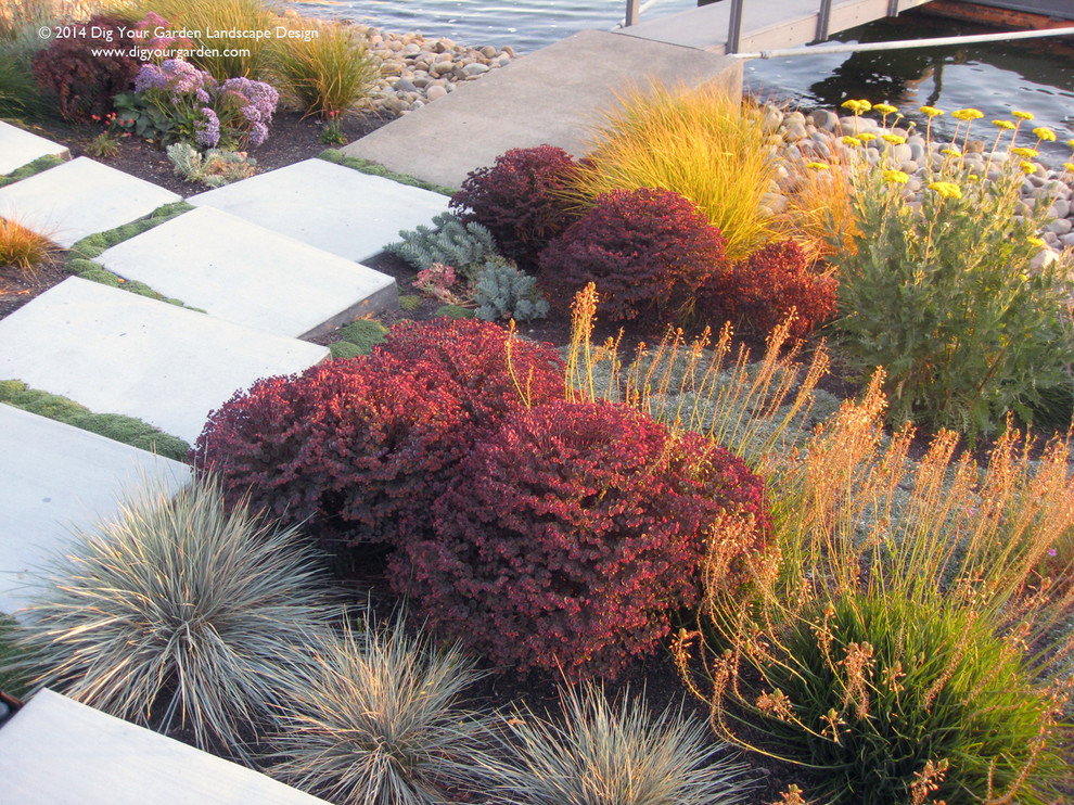 サンフランシスコにあるラグジュアリーな巨大な、秋の地中海スタイルのおしゃれな庭 (庭への小道、日向、コンクリート敷き	、傾斜地) の写真
