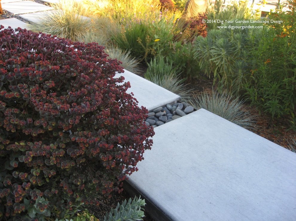 Large contemporary sloped xeriscape full sun garden for summer in San Francisco with concrete paving.