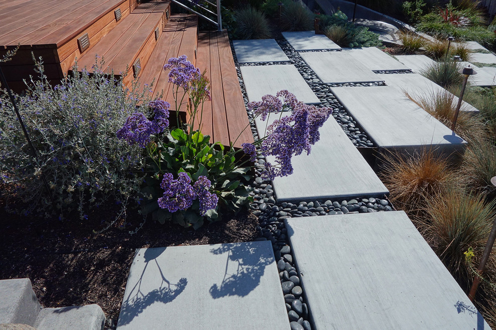 Mittelgroßer Mediterraner Garten im Sommer, hinter dem Haus mit direkter Sonneneinstrahlung und Dielen in San Francisco