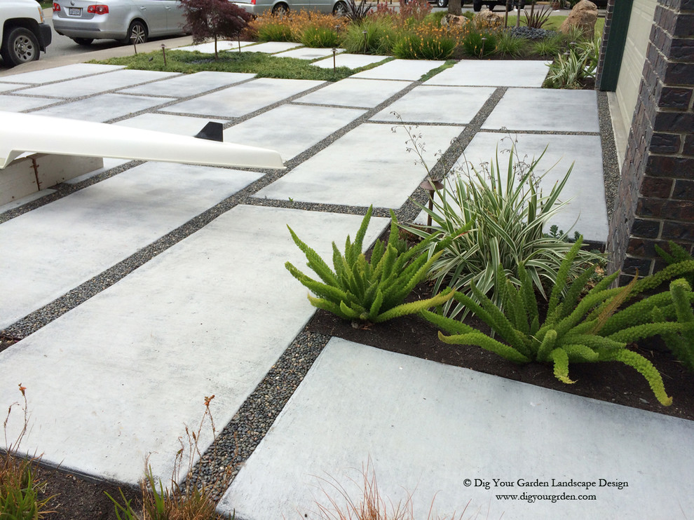 Großer Moderner Garten im Winter mit Auffahrt, direkter Sonneneinstrahlung und Betonboden in San Francisco