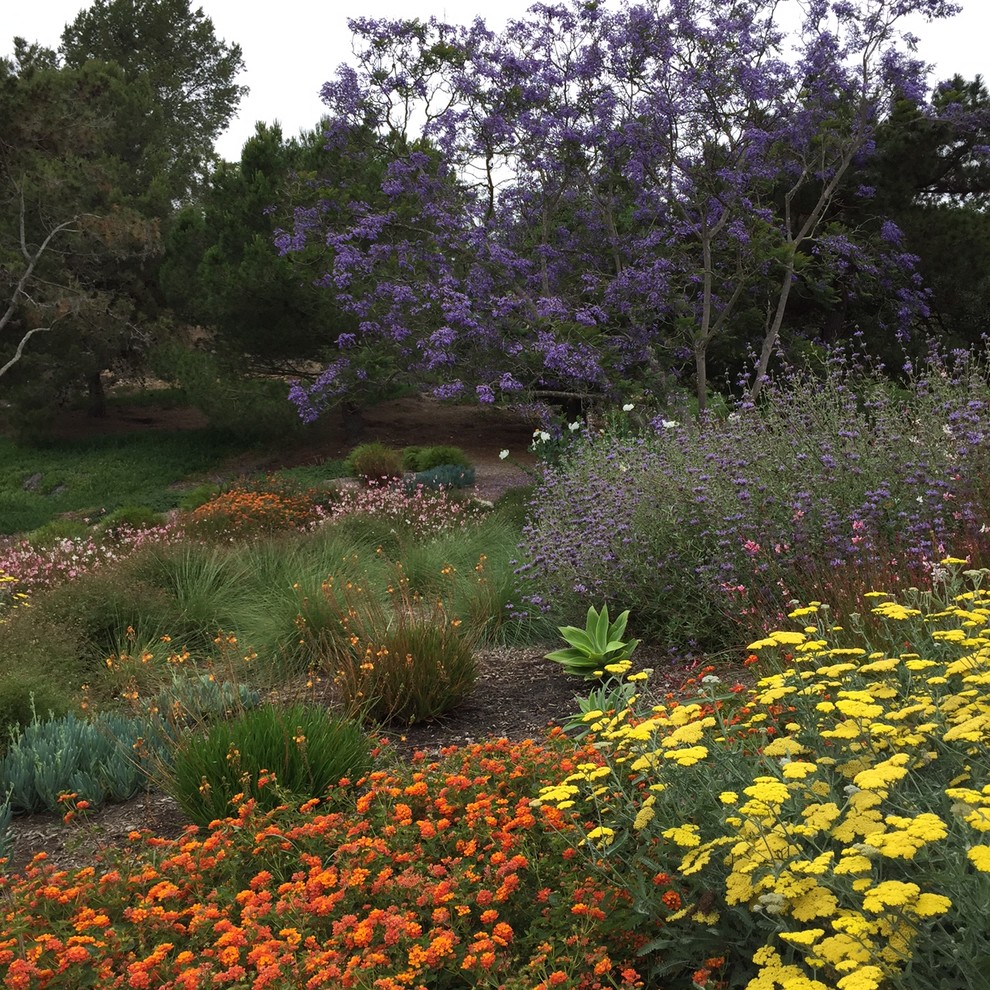 Свежая идея для дизайна: огромный солнечный, летний засухоустойчивый сад на переднем дворе в средиземноморском стиле с клумбами, хорошей освещенностью и мульчированием - отличное фото интерьера