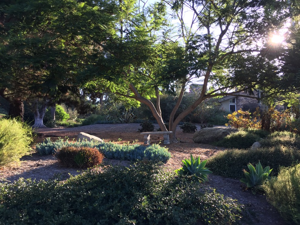 Esempio di un ampio giardino mediterraneo esposto a mezz'ombra davanti casa in autunno con pacciame