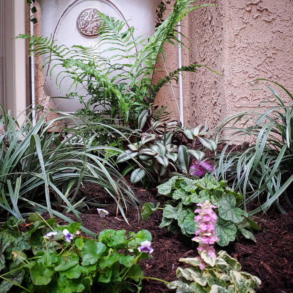 サンタバーバラにあるお手頃価格の小さなシャビーシック調のおしゃれな庭 (庭への小道、日陰) の写真