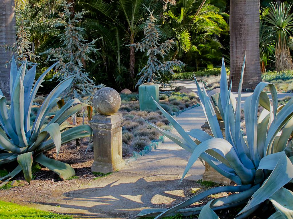 Blue Agave Landscape Houzz