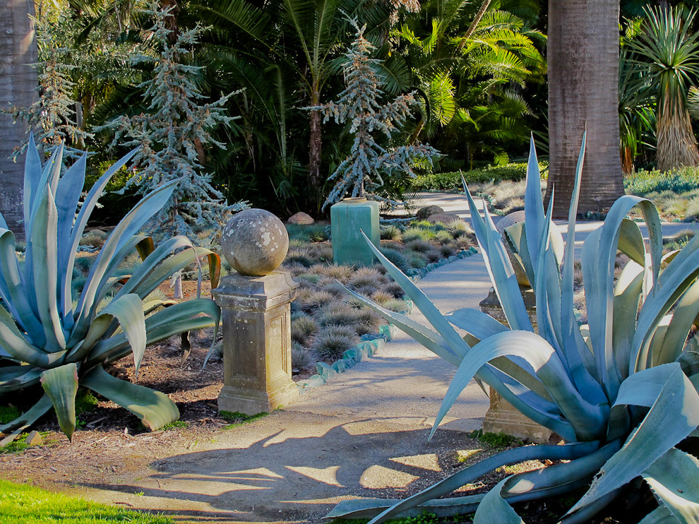Bohemian xeriscape garden in Santa Barbara.