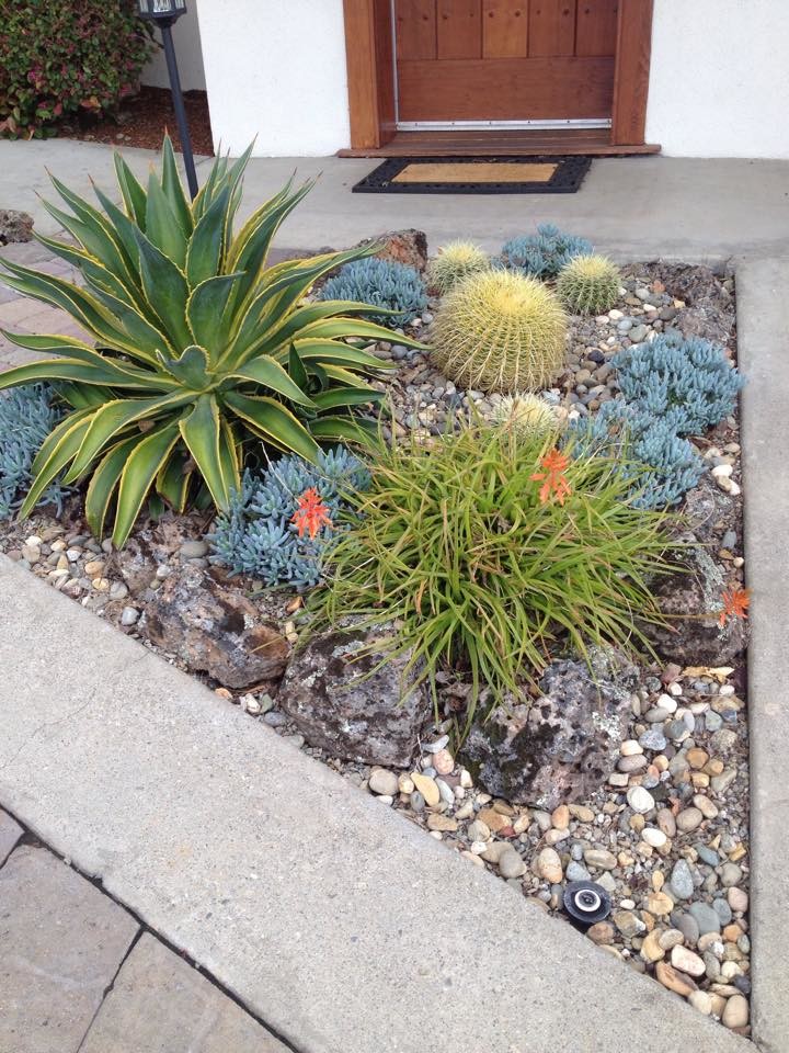 Ejemplo de jardín de secano de estilo americano pequeño en patio delantero con adoquines de hormigón