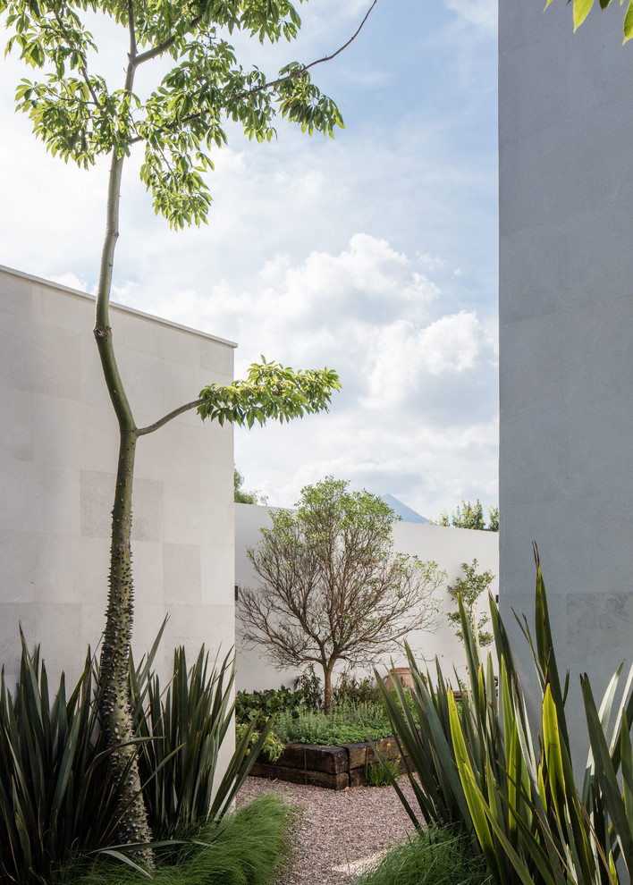 Cette image montre un jardin design avec une exposition partiellement ombragée et des pavés en béton.