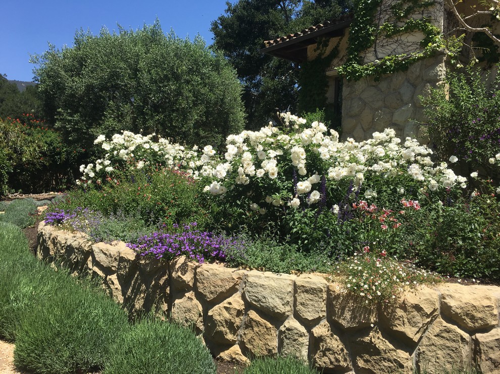 Esempio di un giardino formale mediterraneo esposto in pieno sole in cortile in primavera con un focolare e ghiaia