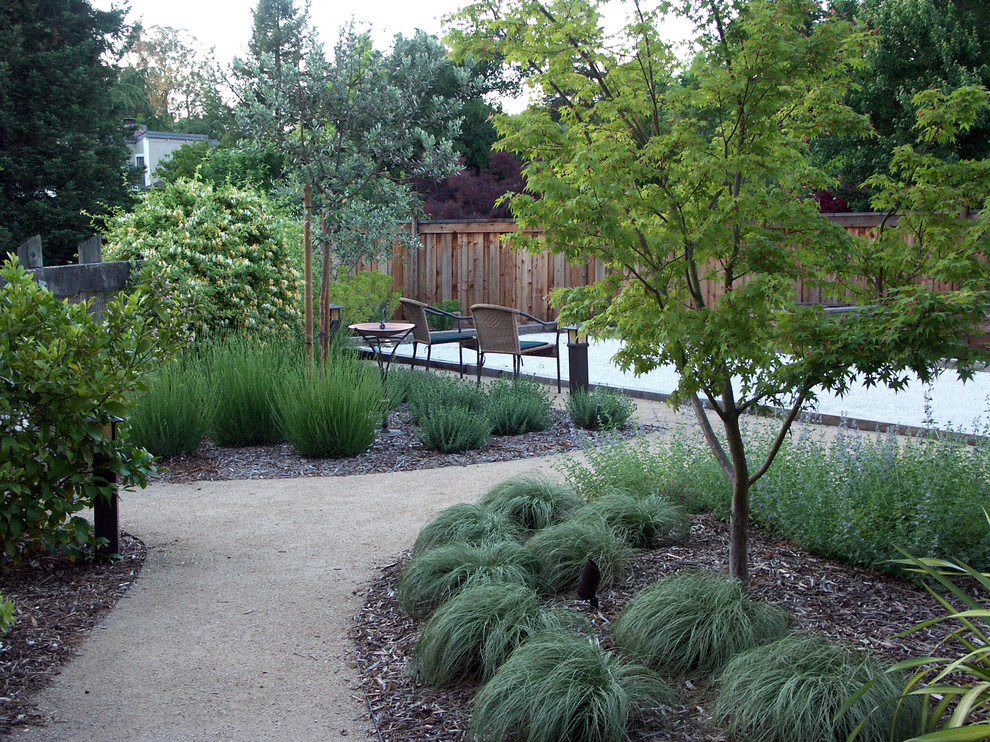 Foto de camino de jardín de secano tradicional de tamaño medio en verano en patio trasero con exposición parcial al sol y gravilla