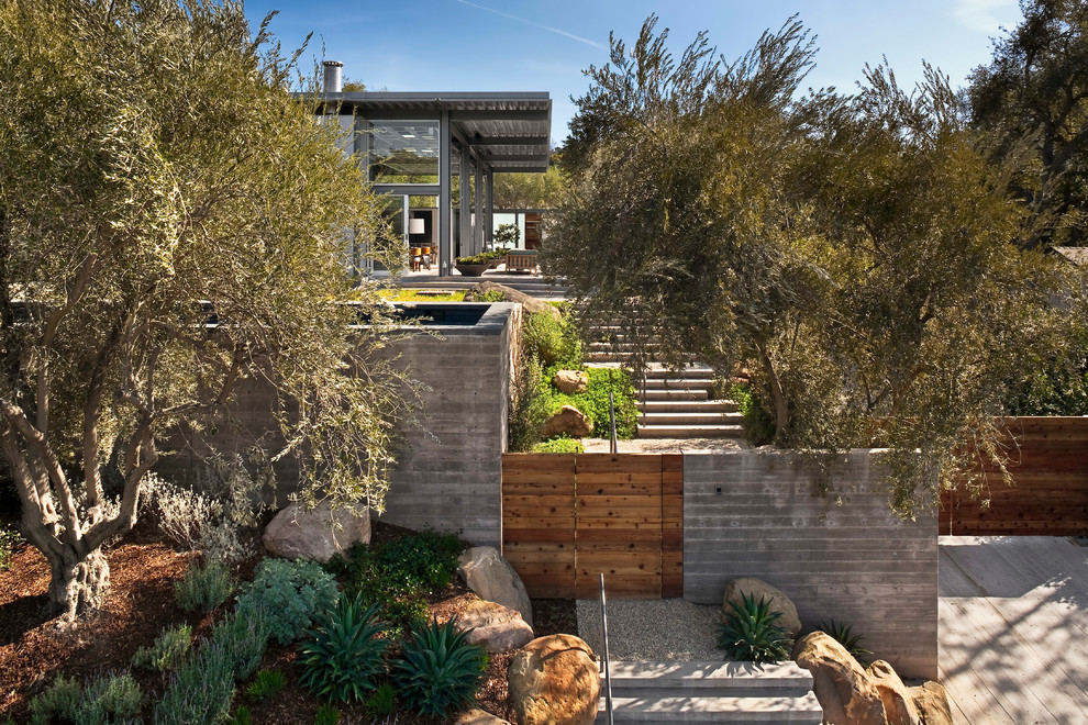 This is an example of a contemporary back garden in Santa Barbara.