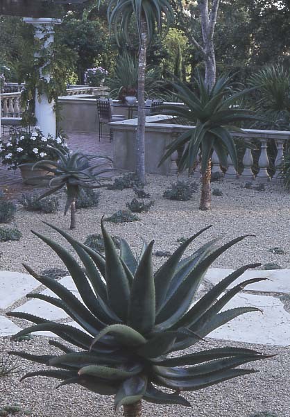 Exemple d'un grand jardin à la française arrière méditerranéen avec un bassin et des pavés en brique.