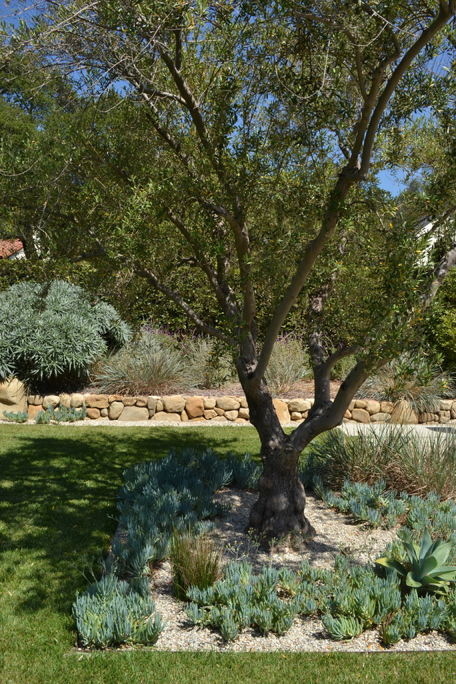 На фото: огромный тенистый засухоустойчивый сад на заднем дворе в современном стиле с мощением тротуарной плиткой