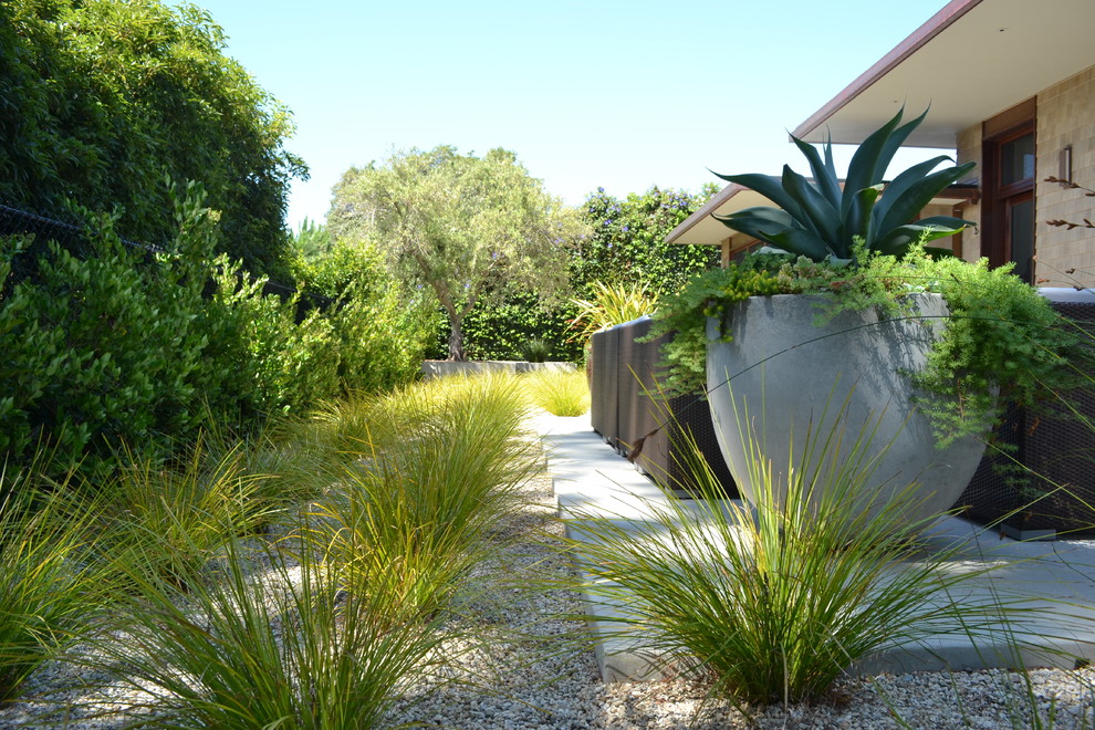 Пример оригинального дизайна: огромный садовый фонтан на боковом дворе в современном стиле с полуденной тенью и мощением тротуарной плиткой