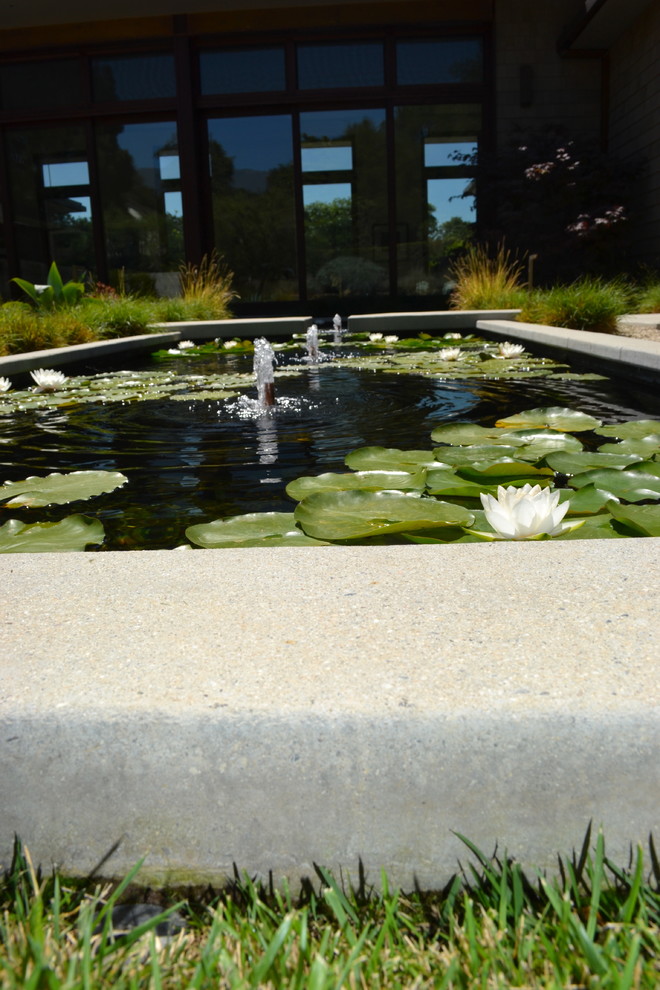Design ideas for a huge contemporary full sun backyard concrete paver water fountain landscape in San Luis Obispo.