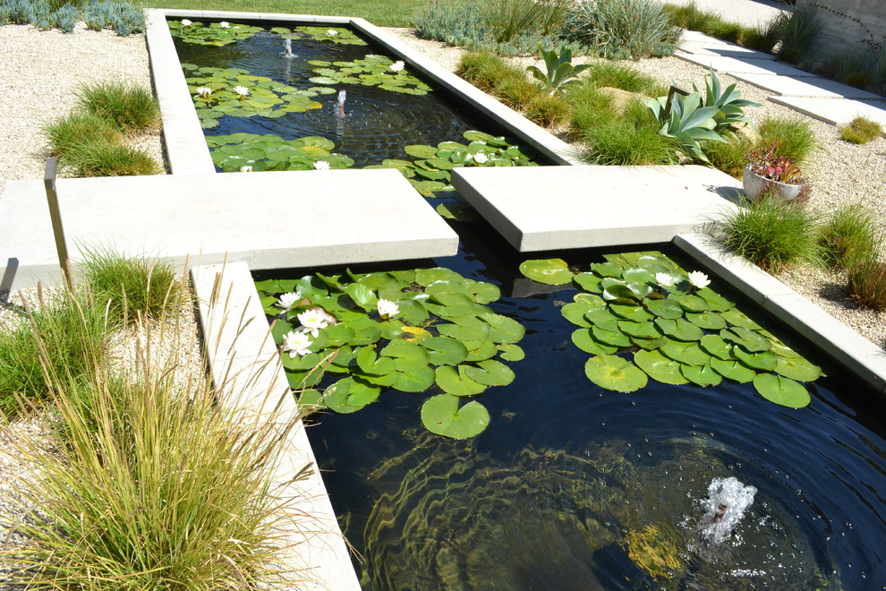 This is an example of a huge contemporary full sun backyard concrete paver water fountain landscape in San Luis Obispo.