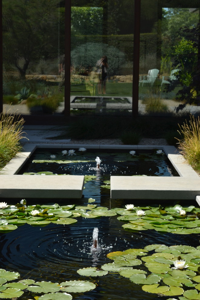 Exemple d'un très grand jardin arrière tendance avec un point d'eau, une exposition partiellement ombragée et des pavés en béton.