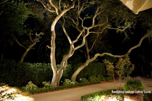 Moonlighting Landscape Lighting Systems, Sea Pines Landscaping