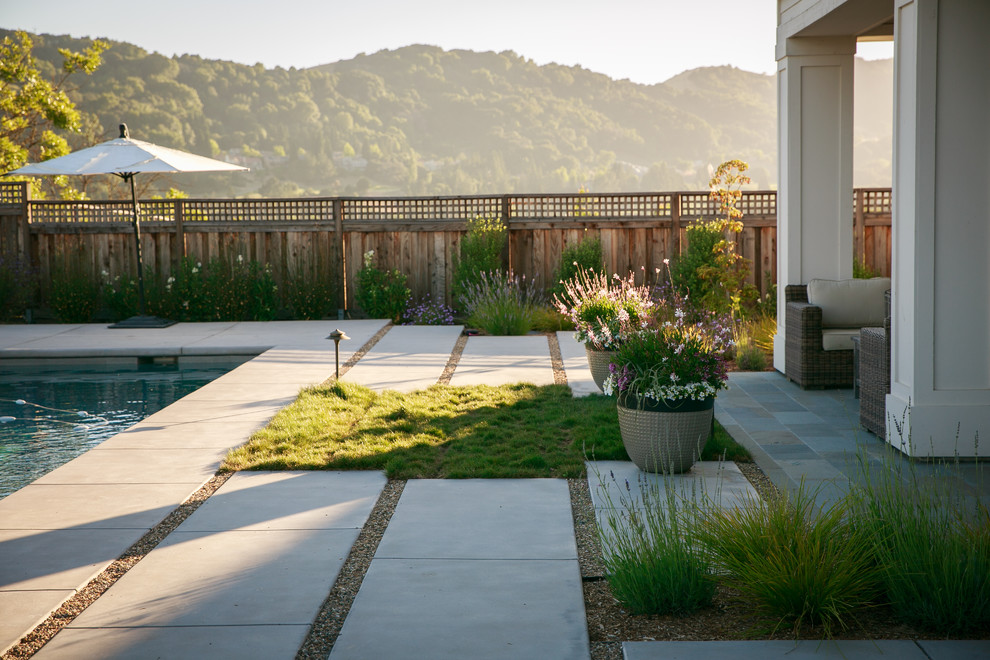 Moderner Garten hinter dem Haus in San Luis Obispo