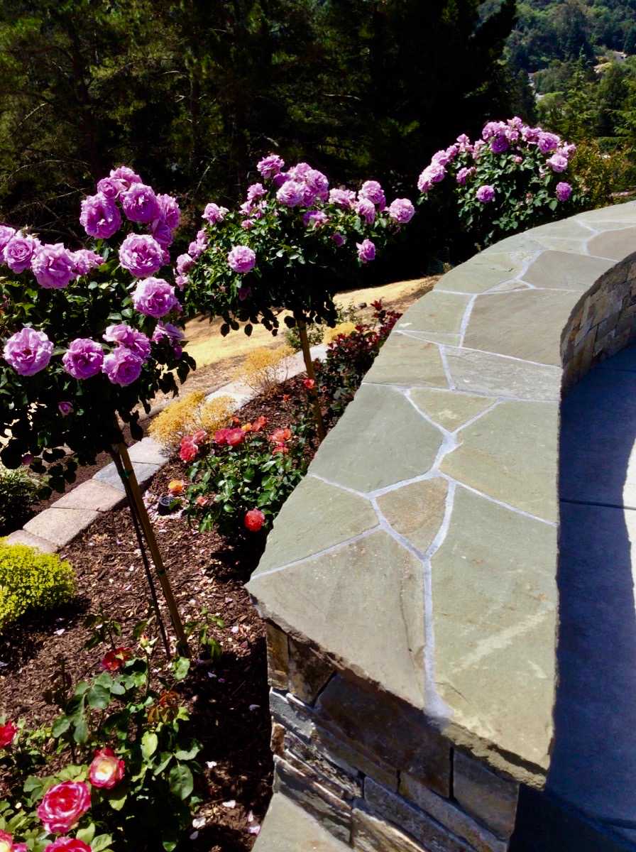 springhetti custom outdoor living on 75 Beautiful Shabby Chic Style Retaining Wall Design Houzz Pictures Ideas May 2021 Houzz