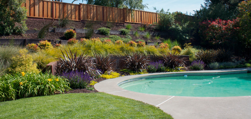 Inspiration for a contemporary back xeriscape garden in San Francisco with a retaining wall.