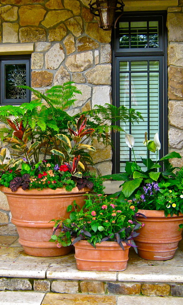 Design ideas for a mediterranean landscaping in New York.