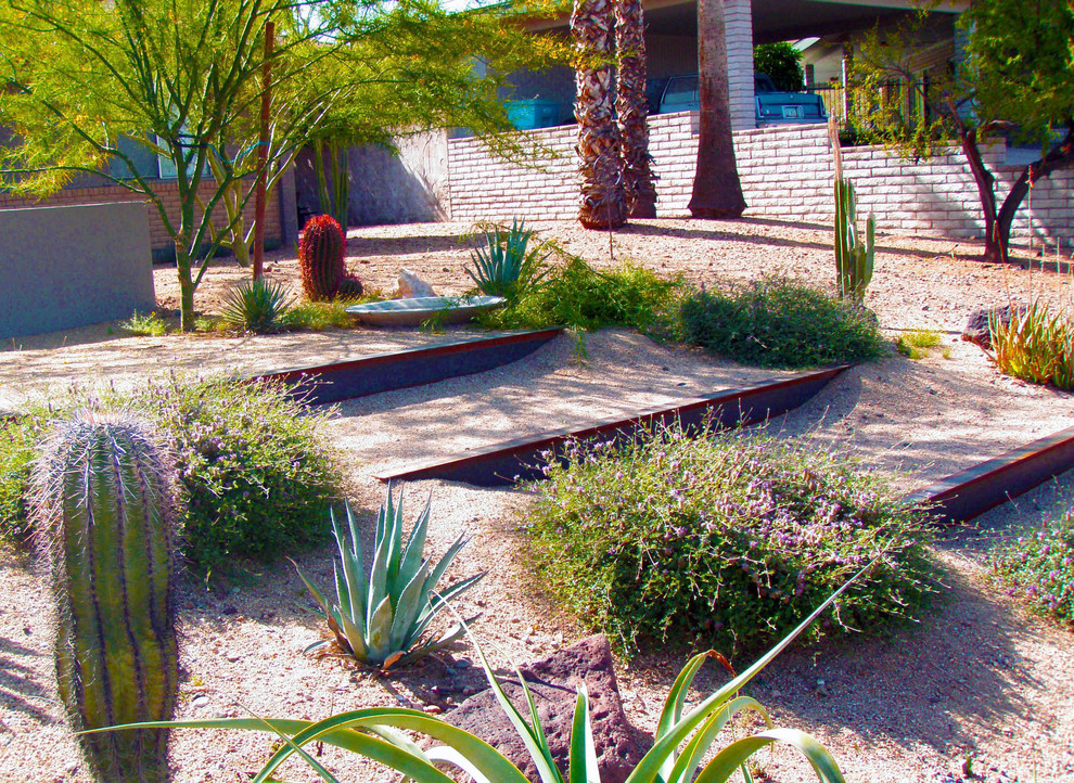 Moderner Garten hinter dem Haus mit Wüstengarten in Phoenix