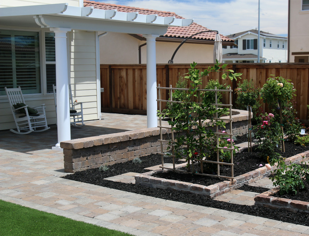 Esempio di un giardino formale design esposto in pieno sole di medie dimensioni e dietro casa in estate con un ingresso o sentiero e pavimentazioni in cemento