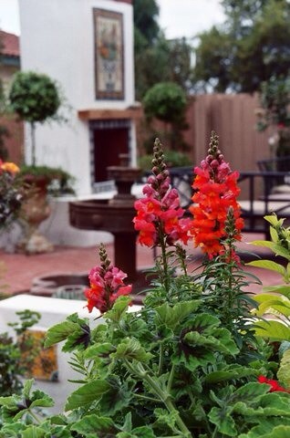 Cette photo montre un jardin méditerranéen de taille moyenne et l'été avec une cheminée, une exposition ensoleillée, des pavés en brique et une clôture en pierre.