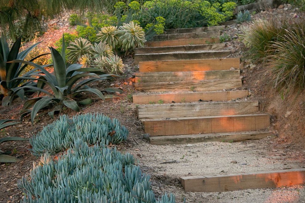 Großer, Halbschattiger Mediterraner Garten im Sommer, neben dem Haus in San Diego