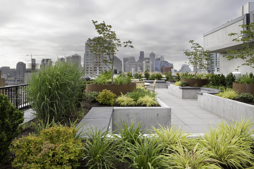 Photo of a modern landscaping in Seattle.